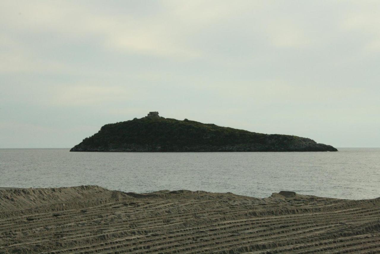 Appartamento Al Mare Grisolia Esterno foto